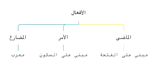 Verbs-Arabic-Grammar