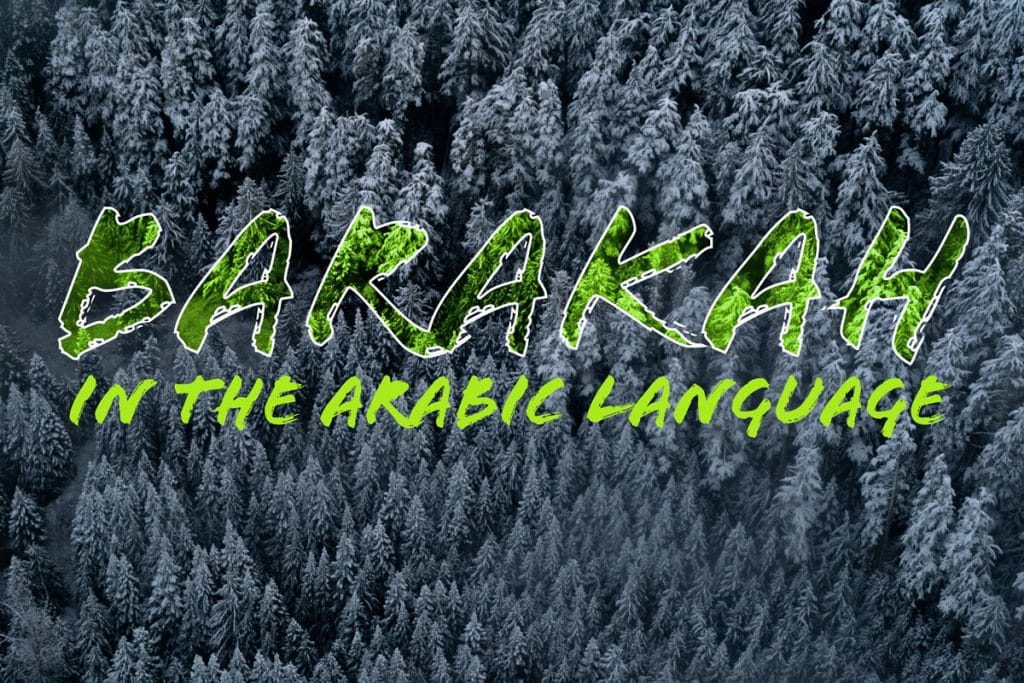 Meaning of barakah in Arabic