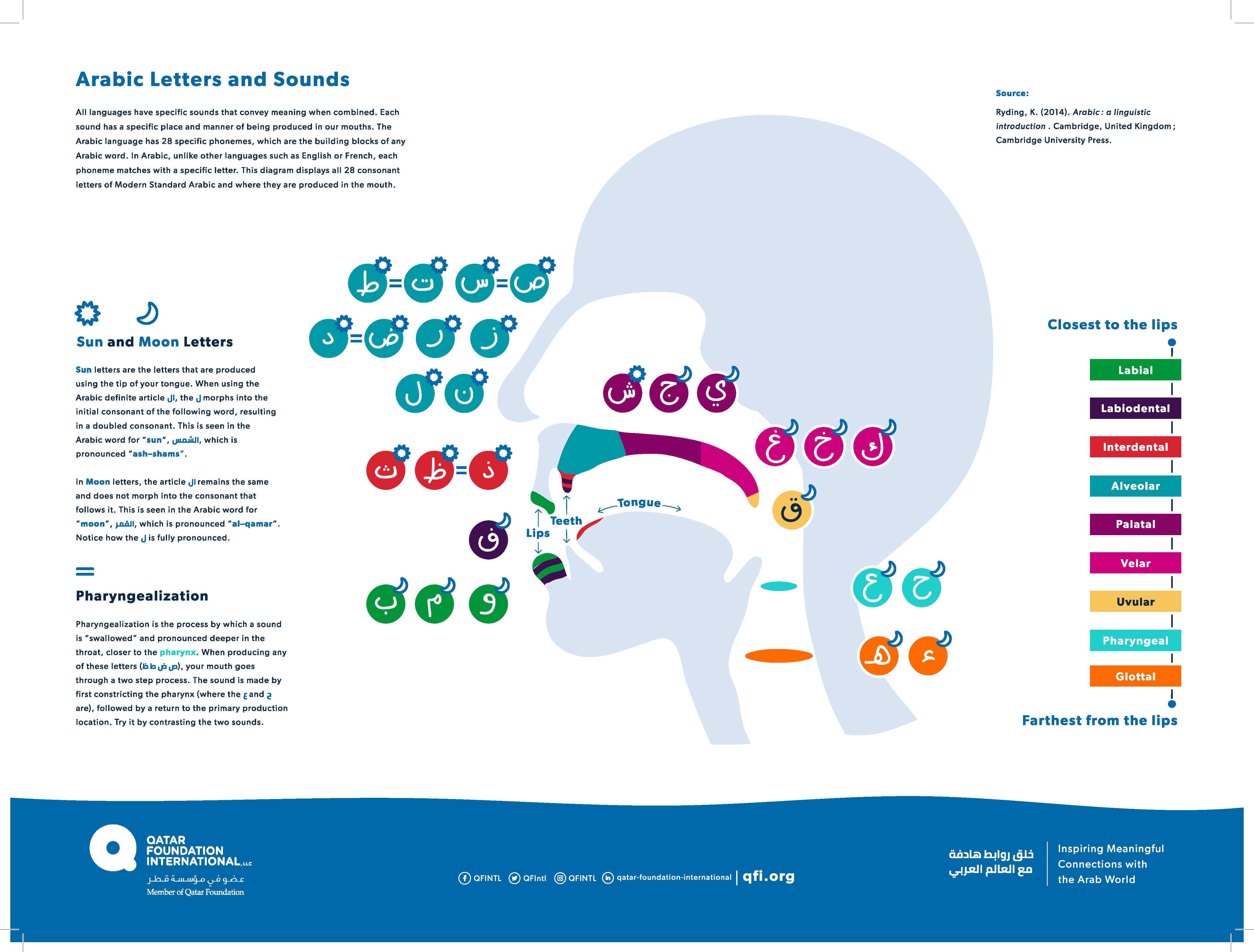 arabic-letters-throat-infographic-qfi